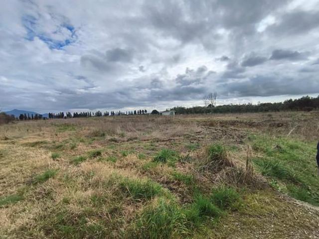 Terreno in vendita a Gello, San Giuliano Terme