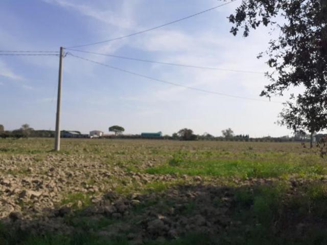 Terreno in vendita a Cascina, Toscana