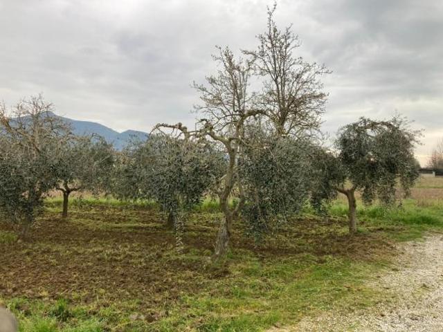 Terreno in vendita a Cascina, Toscana