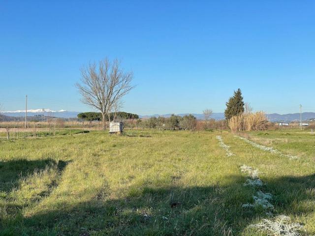 Terreno in vendita a San Miniato, Toscana