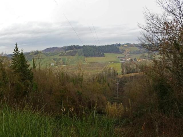 Terreno in vendita a La Scala, San Miniato