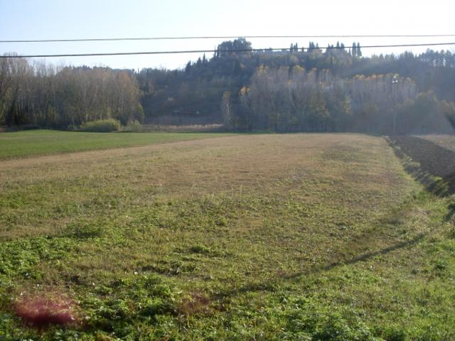 Terreno in vendita a San Miniato, Toscana