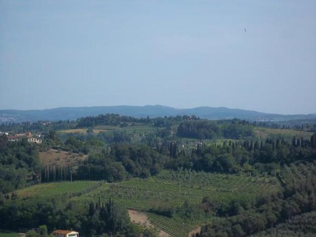 Terreno in vendita a Corniano, San Miniato