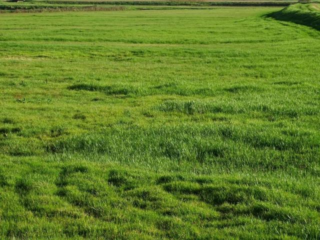 Terreno in vendita a La Scala, San Miniato