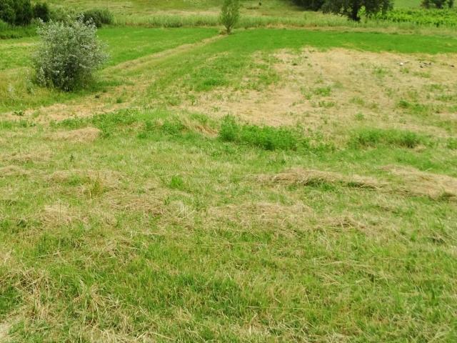 Terreno in vendita a San Miniato, Toscana