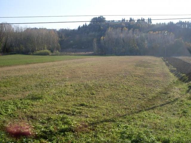 Terreno in vendita a San Miniato, Toscana