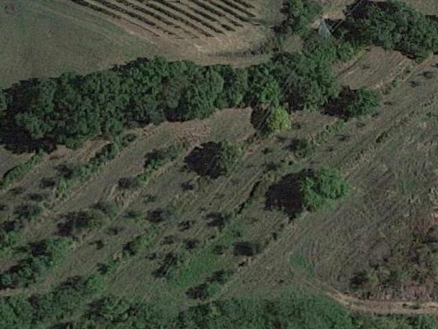 Terreno in vendita a San Miniato, Toscana