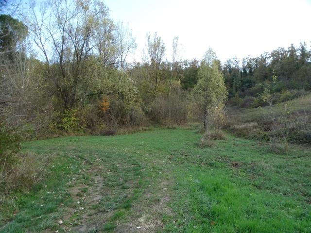 Terreno in vendita a La Scala, San Miniato