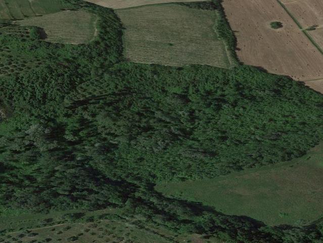 Terreno in vendita a San Miniato, Toscana