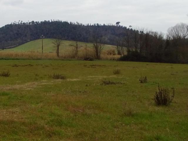 Terreno in vendita a San Miniato, Toscana