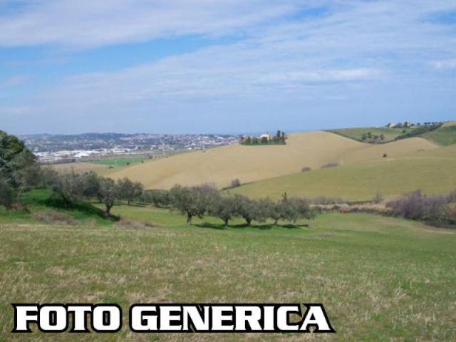 Terreno in vendita a San Miniato, Toscana