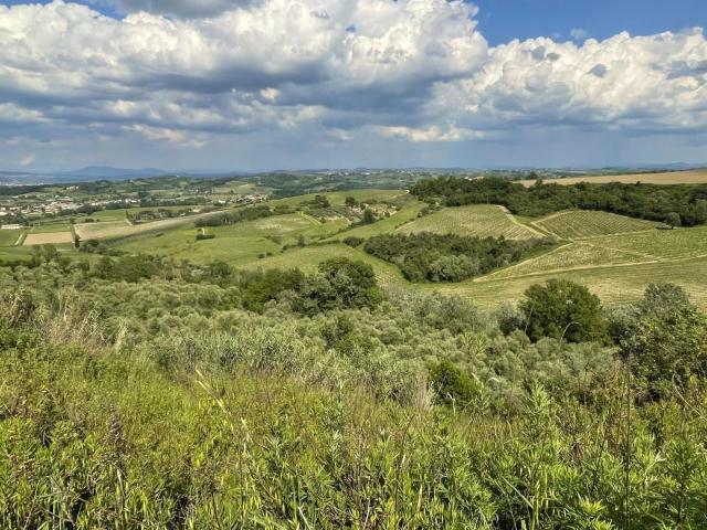 Terreno in vendita a Calenzano Primo, San Miniato
