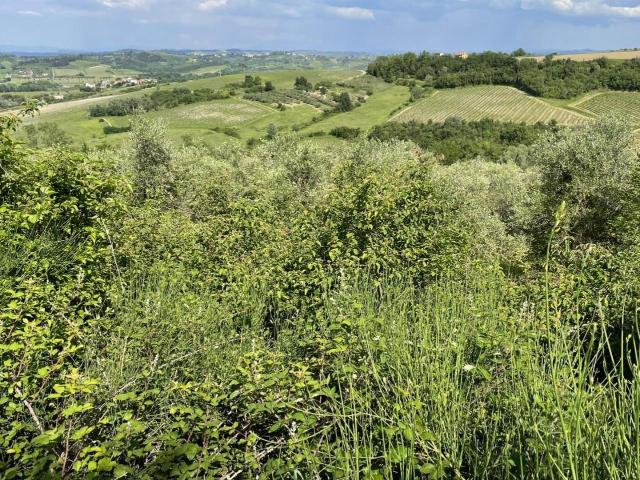 Terreno in vendita a Calenzano Primo, San Miniato
