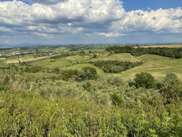 Terreno in vendita a Calenzano Primo, San Miniato