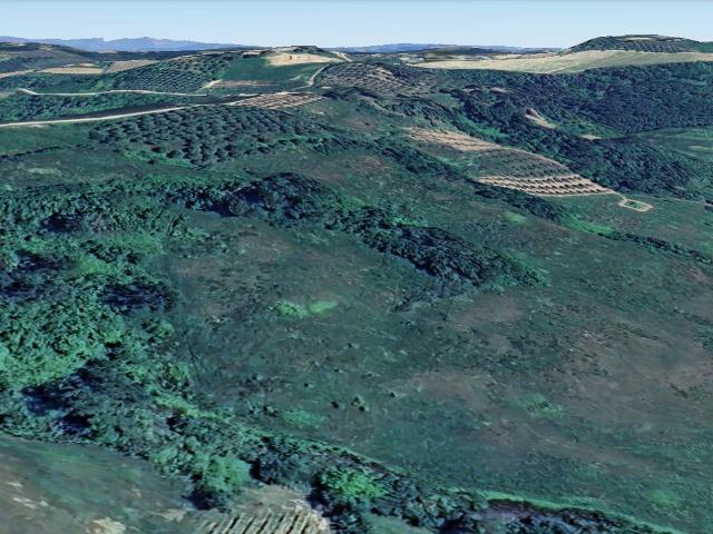 Terreno in vendita a San Miniato, Toscana