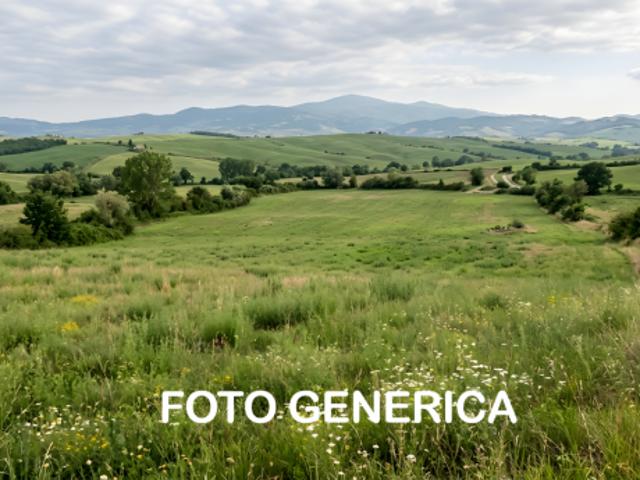 Terreno in vendita a San Miniato, Pisa
