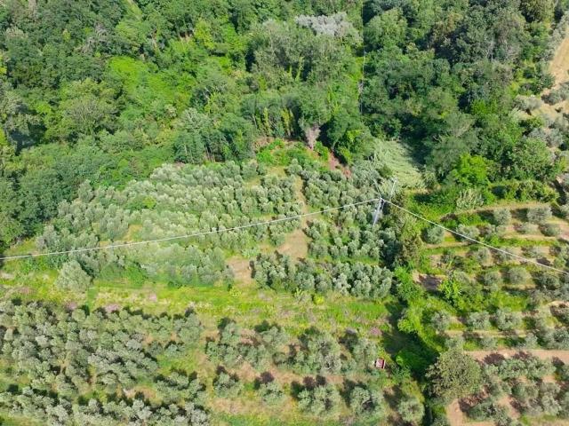 Terreno in vendita a San Miniato, Toscana