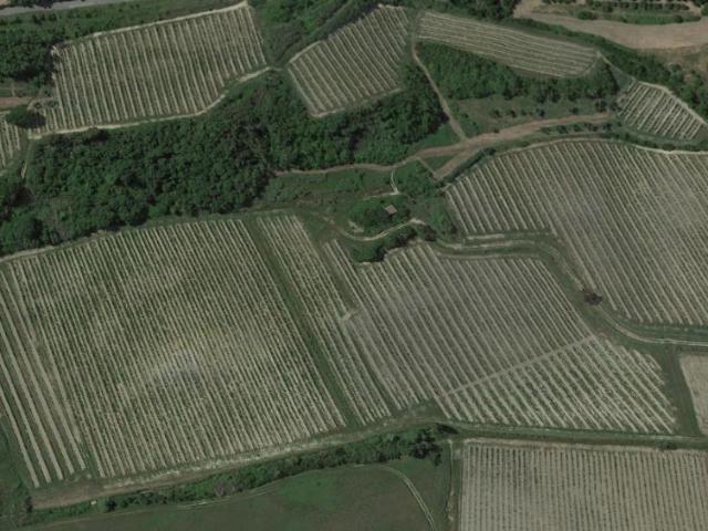 Terreno in vendita a La Scala, San Miniato