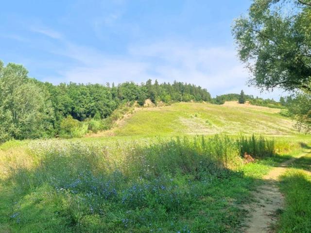Terreno in vendita a San Miniato, Toscana