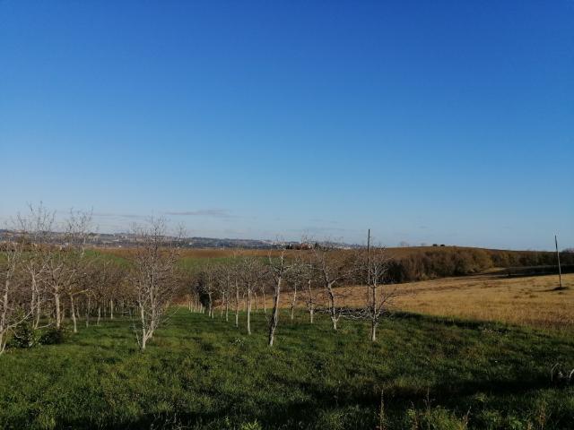 Terreno in vendita a Marche, Ancona