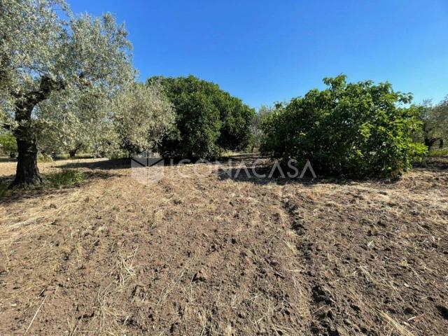 Terreno in vendita a San Severo, Foggia
