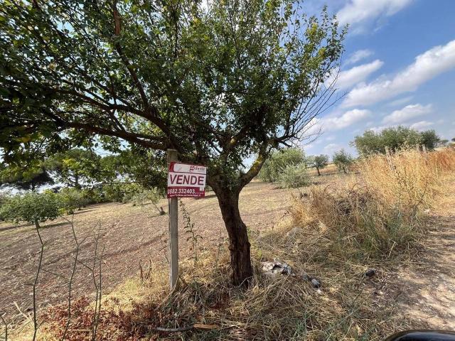 Terreno in vendita a Puglia, Foggia