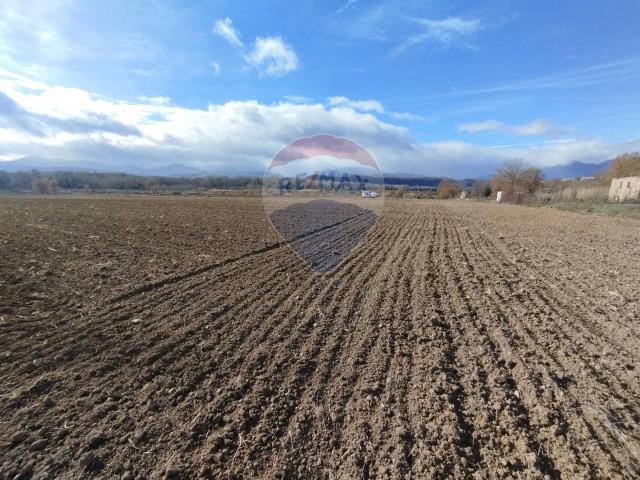 Terreno in vendita a Calabria, Cosenza