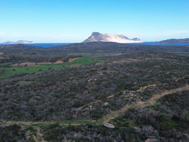 Terreno in vendita a Puntaldia, Sardigna/Sardegna