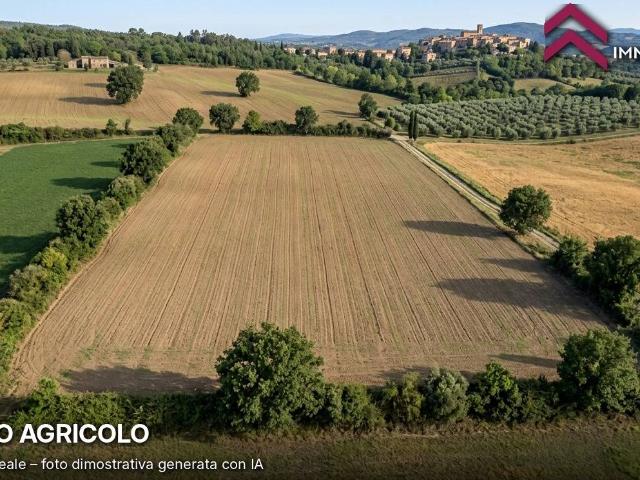 Terreno in vendita a Zona Coscia, San Vincenzo