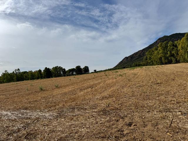 Terreno in vendita a San Vito, Sardigna/Sardegna