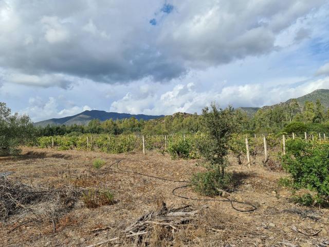 Terreno in vendita a San Vito, Sardigna/Sardegna