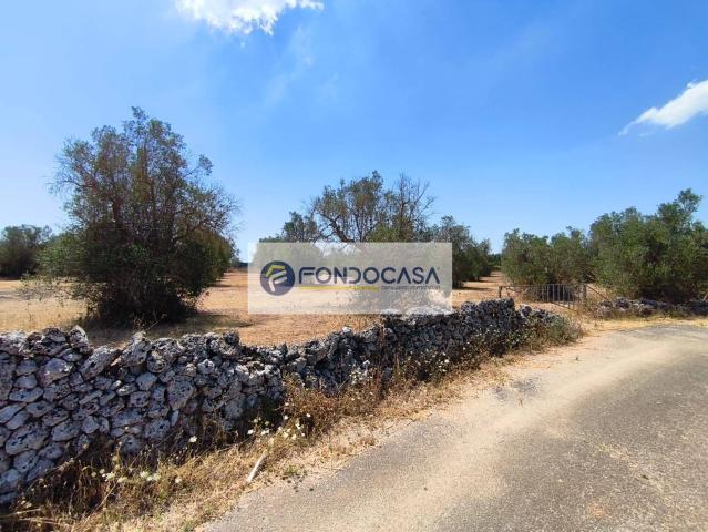 Terreno in vendita a Puglia, Lecce