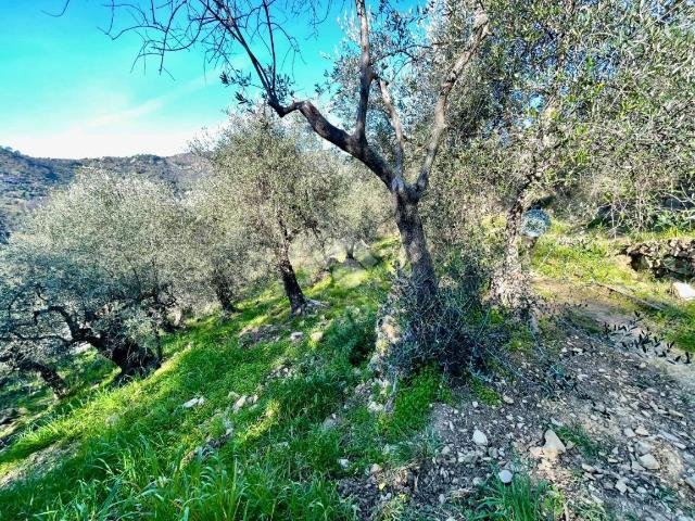 Terreno in vendita a Sant'Antonio, San Remo