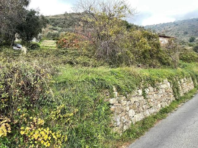 Terreno in vendita a Suseneo, San Remo