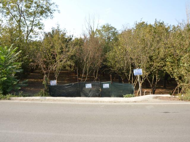 Terreno in vendita a Serino, Campania