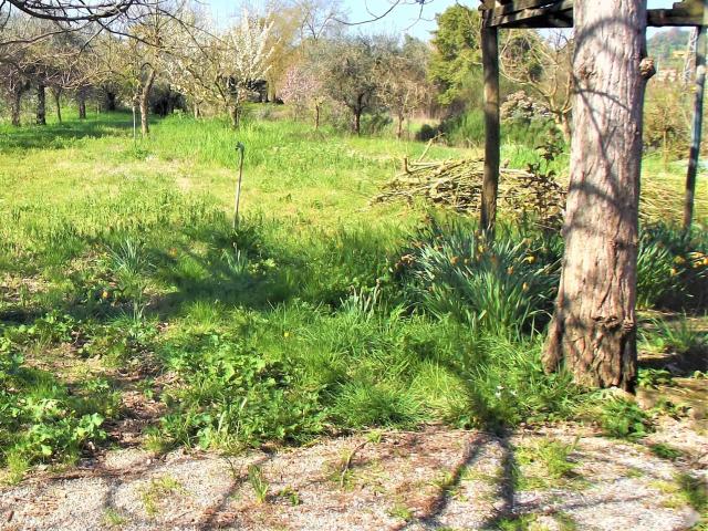 Terreno in vendita a Sottili, Santa Maria A Monte