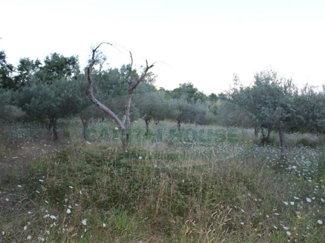 Terreno in vendita a Sant'angelo A Scala, Campania