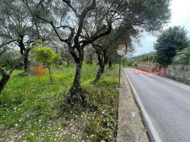Terreno in vendita a Santi Cosma E Damiano, Lazio