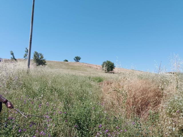 Terreno in vendita a Unione dei Comuni della Val Vibrata, Sant'omero