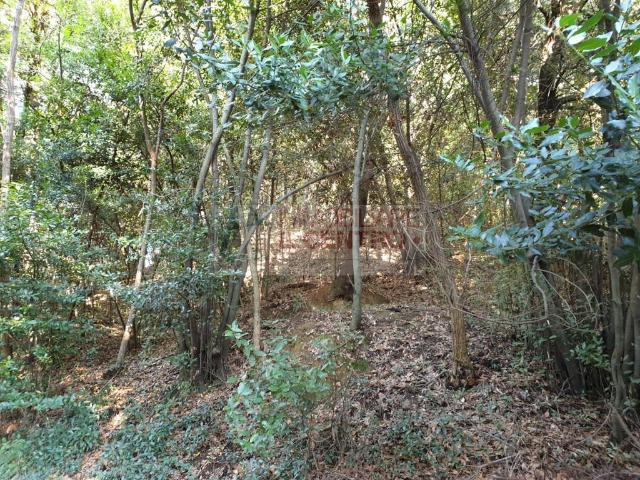 Terreno in vendita a Nave, Sarzana