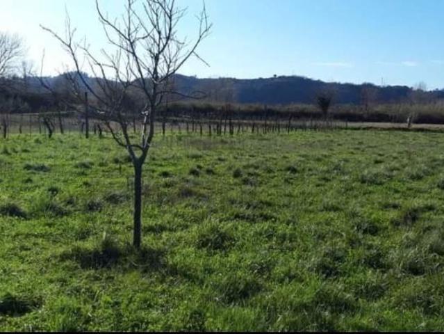 Terreno in vendita a Sarzana, Liguria