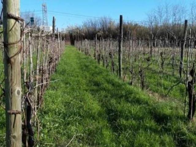Terreno in vendita a Sarzana, Liguria