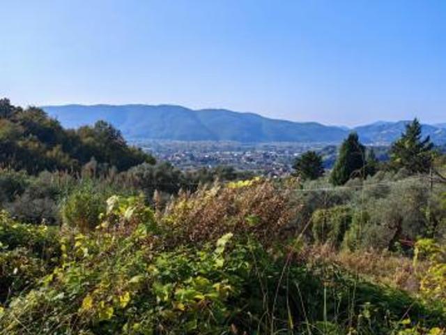 Terreno in vendita a Sarzana, Liguria
