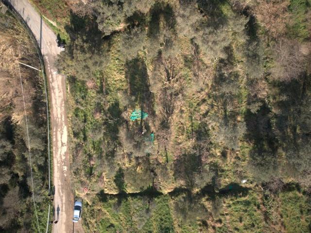 Terreno in vendita a Albisola Capo, Liguria