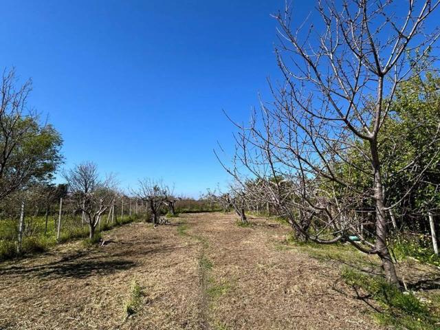 Terreno in vendita a Impresa, Calabria