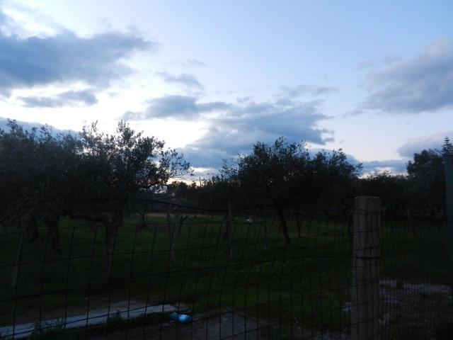 Terreno in vendita a Pantano, Calabria