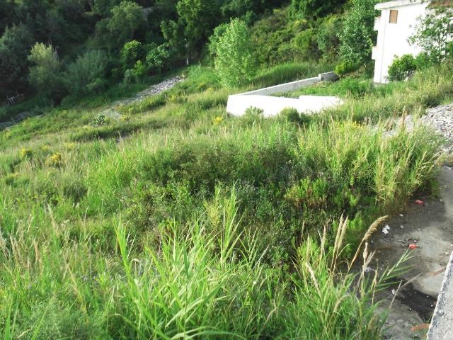 Terreno in vendita a Monticello, Calabria