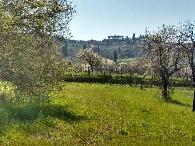 Terreno in vendita a Vingone, Scandicci