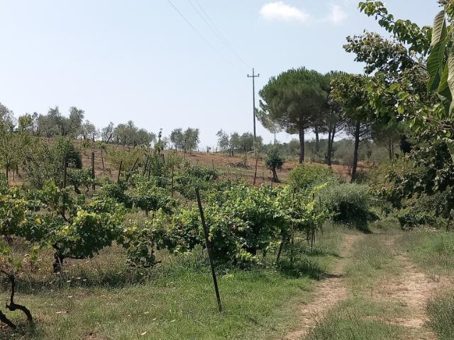 Terreno in vendita a Lastra A Signa, Toscana
