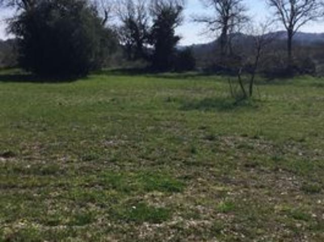 Terreno in vendita a Scansano, Grosseto